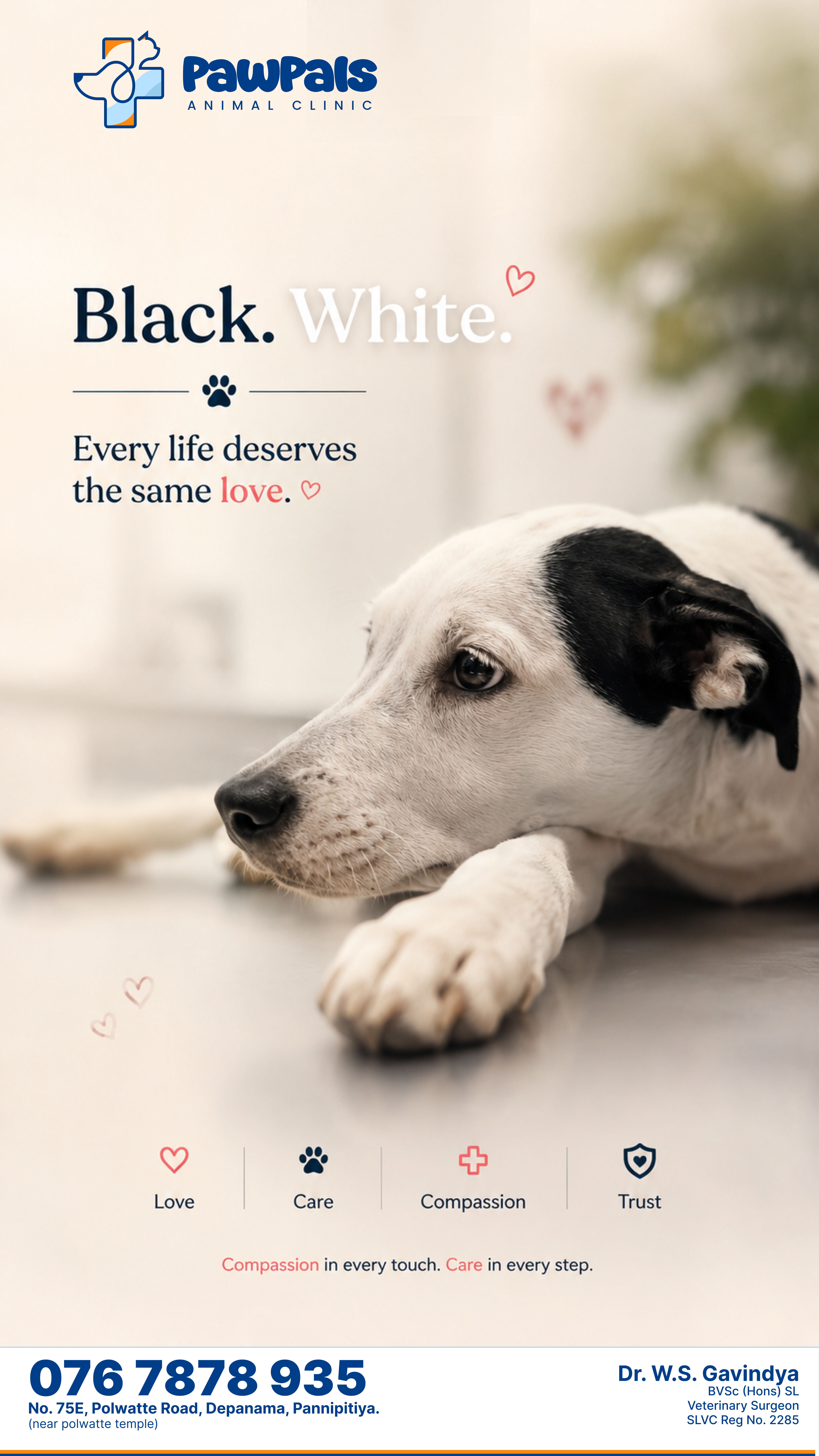 PawPals poster — every life deserves the same love, featuring a black and white dog